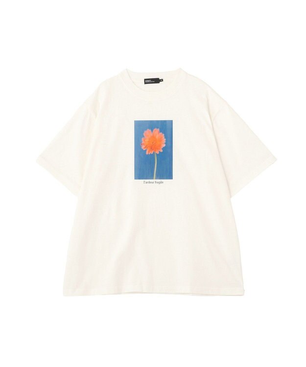 CRAFT STANDARD BOUTIQUE フラワープリントグラフィックＴシャツ D