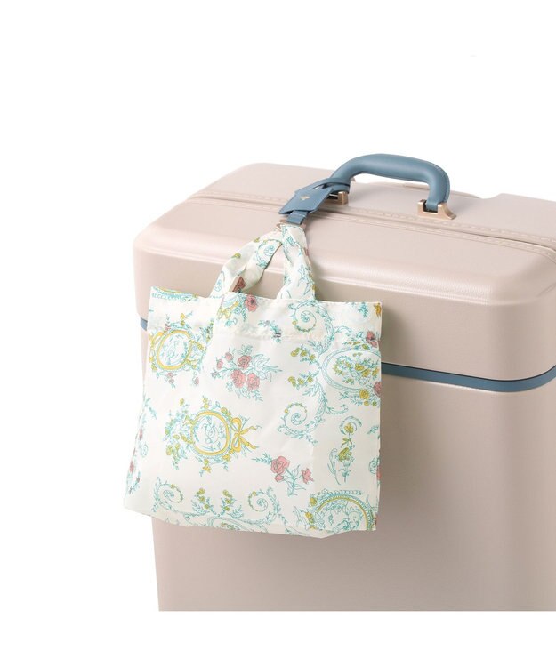 ACE BAGS & LUGGAGE HaNT ノートル 06883 スーツケース 75リットル ハント ポテリーベージュ