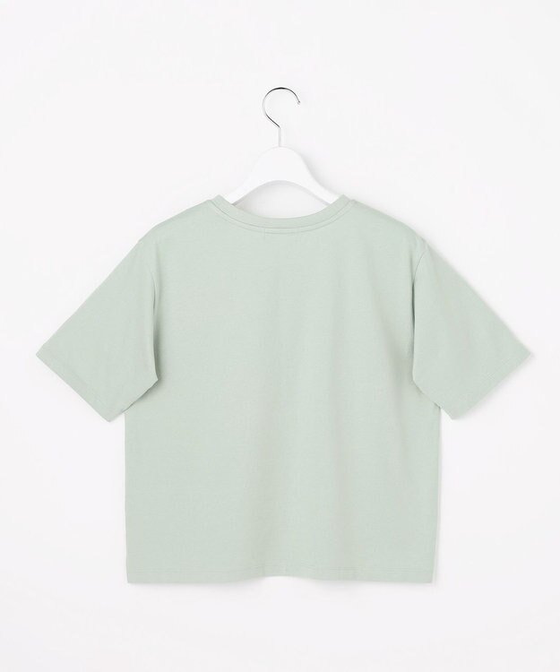 J.PRESS LADIES ロゴ Tシャツ ライトミント系