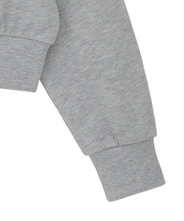 Green Parks １０１匹わんちゃん／クルエラオフショルスウェット Gray Mixture