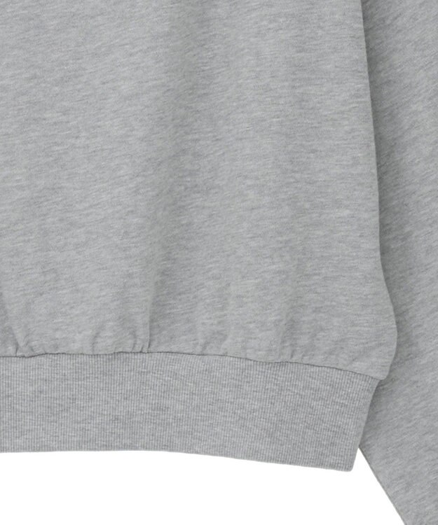 Green Parks １０１匹わんちゃん／クルエラオフショルスウェット Gray Mixture