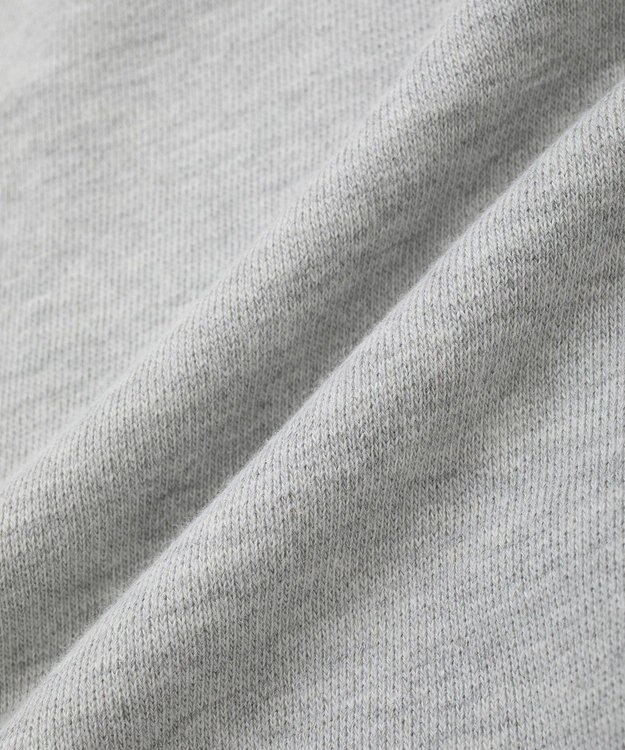 Green Parks １０１匹わんちゃん／クルエラオフショルスウェット Gray Mixture