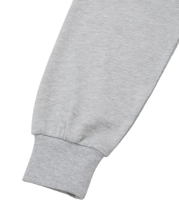 Green Parks １０１匹わんちゃん／クルエラオフショルスウェット Gray Mixture