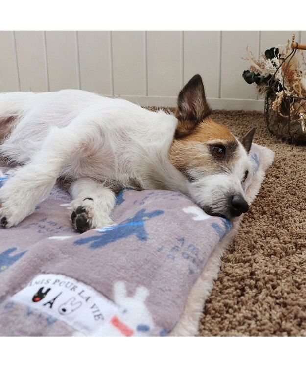 PET PARADISE リサとガスパール 遠赤外線 ボアマット 《 であい柄 》 (80×60cm) であい柄