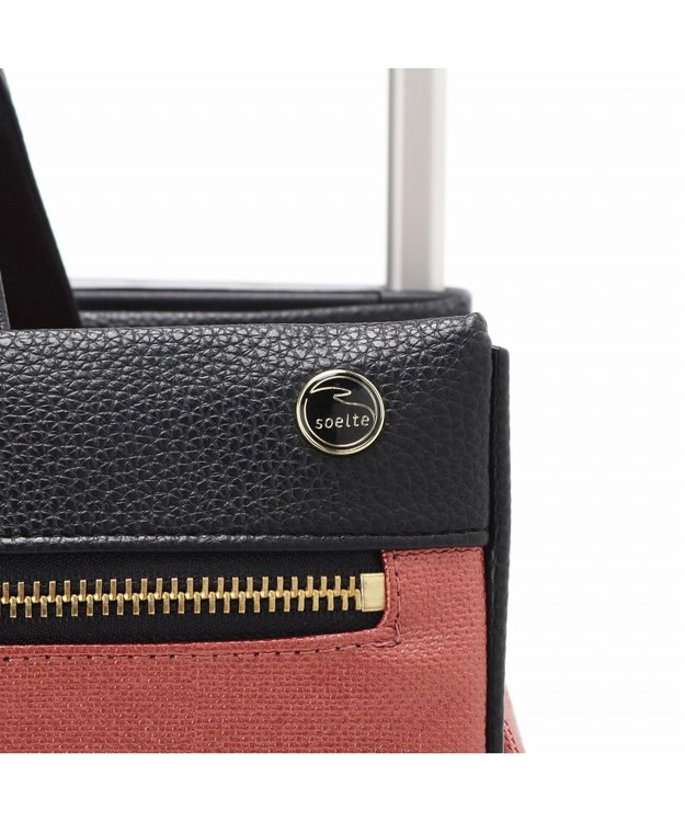 ACE BAGS & LUGGAGE soelte カランド2 お買い物キャリー ショッピングカート 24L 35985 ソエルテ ローズ