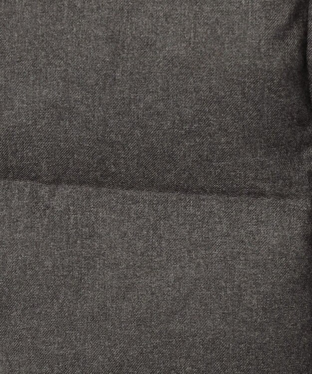 ANY SIS S 【2WAY】シルキータフタロング ダウン 梳毛チャコール