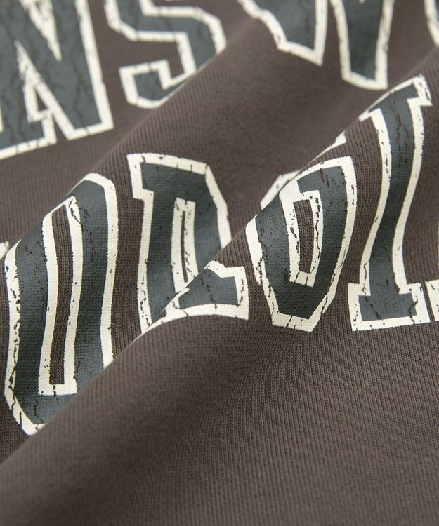 AMERICAN HOLIC 【WEB限定】BRUNSWICK GEORGIA BIGスウェット Brown