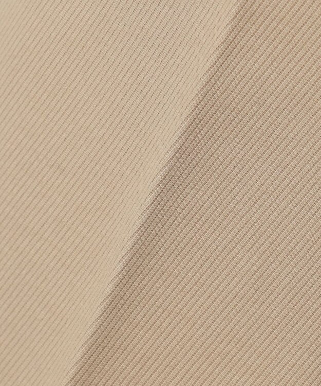 JOSEPH ABBOUD ハイパワーOGトリコチン  パンツ ベージュ系