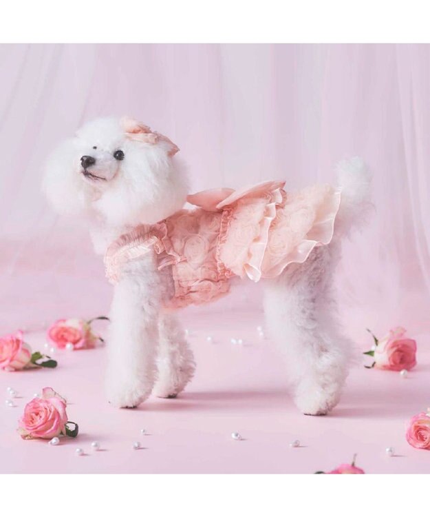 PET PARADISE cherircouture メニ―ローズ ワンピース ピンク 小型犬 ピンク