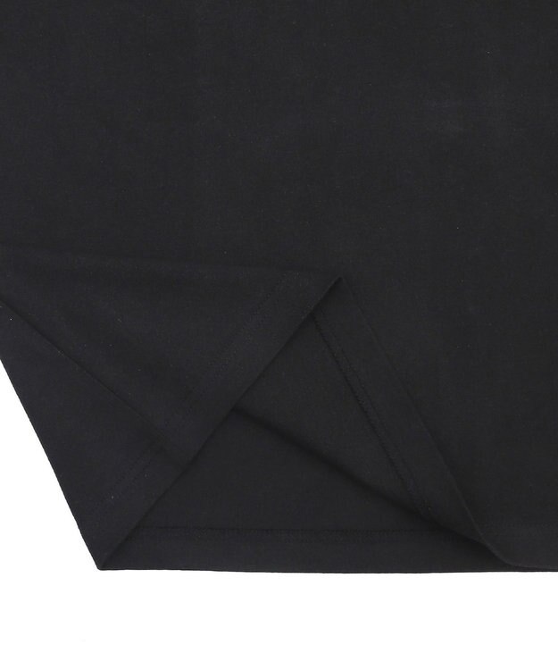 WEGO 別注BENDAVISIプランプロゴT（SS） ブラック