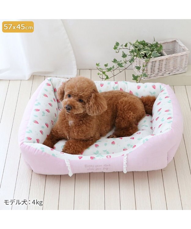 PET PARADISE ペットパラダイス クールカドラー 角型《いちご＆お花柄》 小型犬 いちご＆お花柄