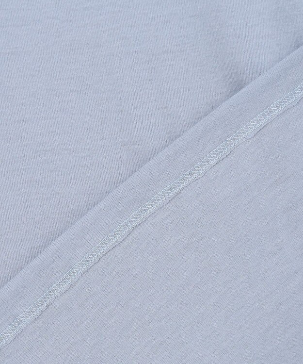 J.PRESS LADIES 【WEB限定】シアーストレッチフライス クルーネック シアー カットソー 【WEB限定】サックス系