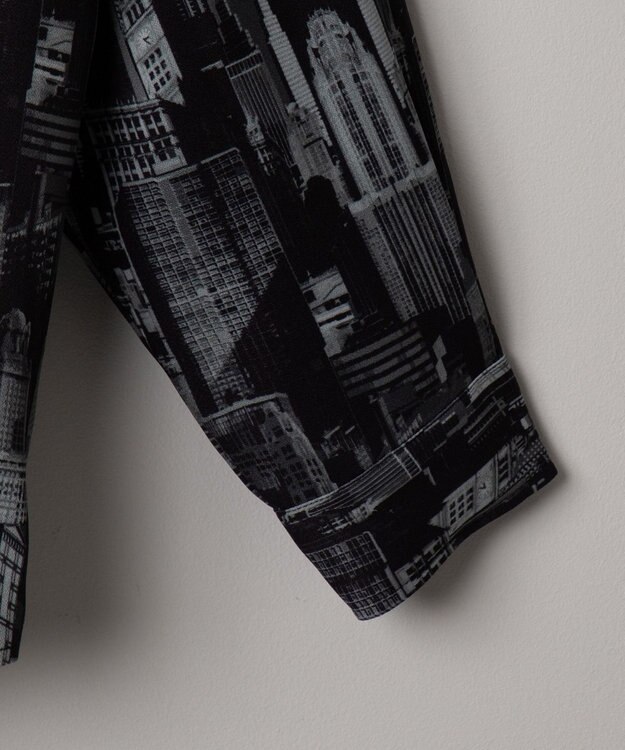 WEGO アムンゼンパターンBIGシャツ（LS） 柄3