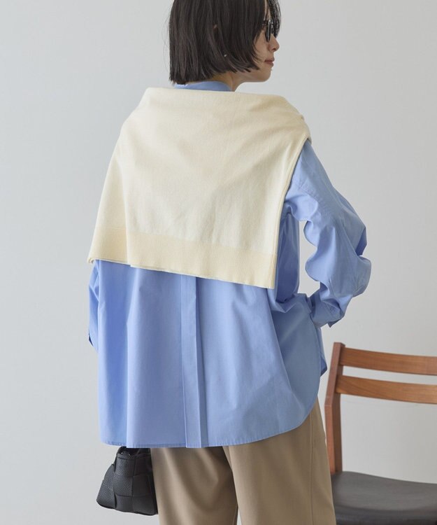 AMERICAN HOLIC 【花粉防止】【イージーケア】ベーシックシャツ Sax