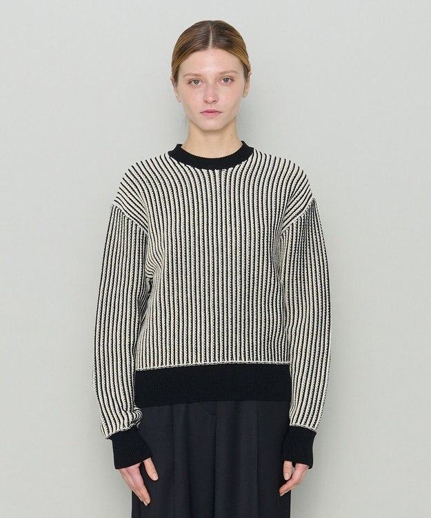 JOSEPH 【洗える】バイオテープコットン　ラウンドネックニット Black