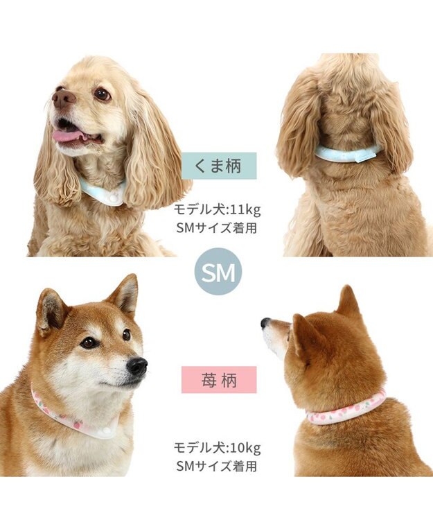 PET PARADISE ペットパラダイス 28℃クールリング SUO 《くま柄》 〔ＳＭ〕 中型犬 くまちゃん
