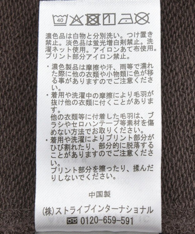 AMERICAN HOLIC 【WEB限定】BRUNSWICK GEORGIA BIGスウェット Brown