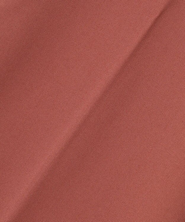 ANY L 【ウエストゴム/リントラク加工/裏起毛/ストレッチ】シークレットウォーム　ワイドパンツ テラコッタ