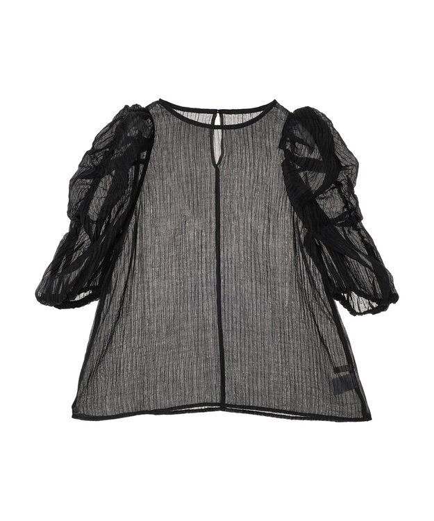 Green Parks ・ＡＮＤ　ＳＥＡＲＣＨ　シアーパワーショルダーブラウス Black