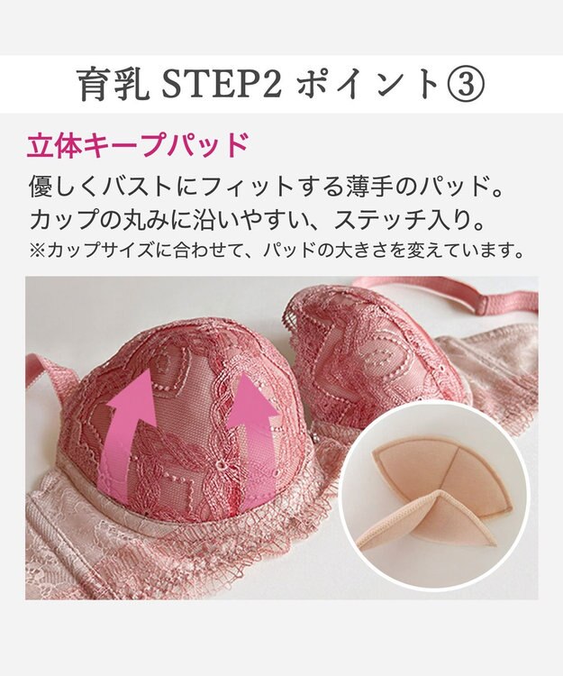 BRADELIS New York 【BRADELIS New York/ 育乳補整ブラ・STEP2 寄せる】ベルステップ2ブラ25A1 谷間を作ってキープ テラコッタ