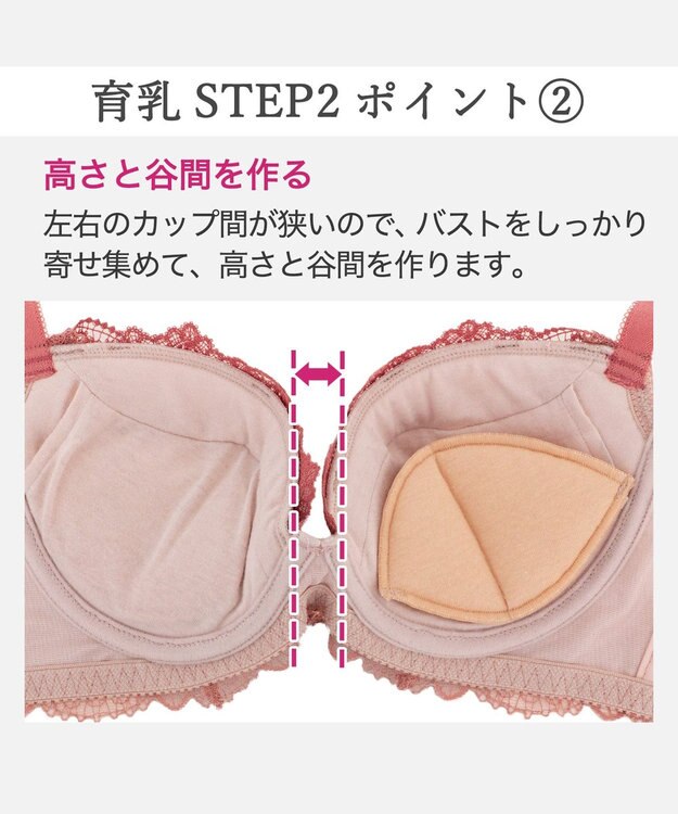BRADELIS New York 【BRADELIS New York/ 育乳補整ブラ・STEP2 寄せる】ベルステップ2ブラ25A1 谷間を作ってキープ テラコッタ