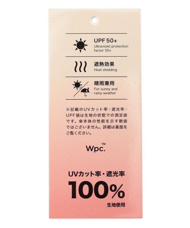 ANY SIS 【WEB限定】遮光フラワーシャドウ 長傘 ブルーグレー