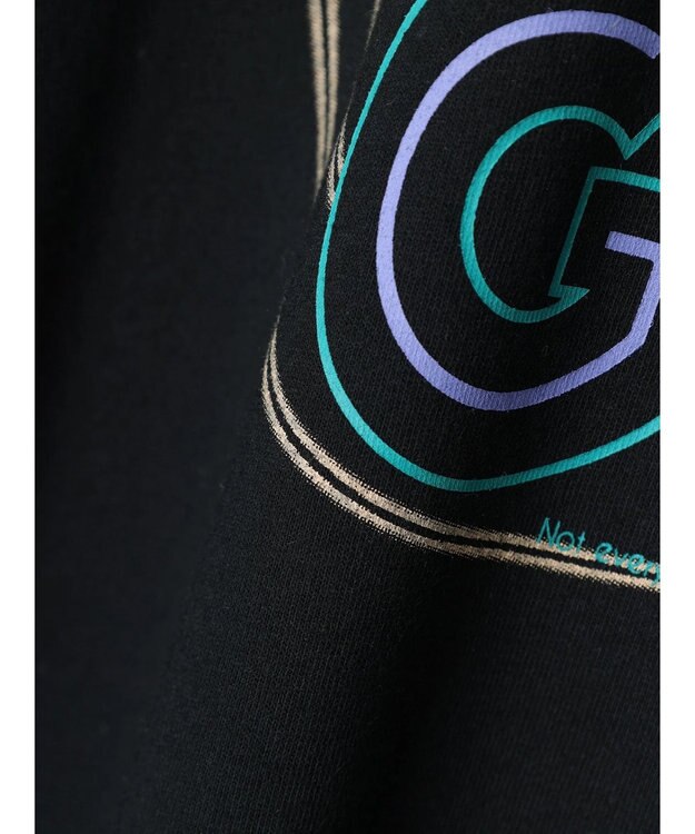 Green Parks ・ＤｏｕｂｌｅＦｌａｇｓ　フリルショルダープリントＴＥＥ Black