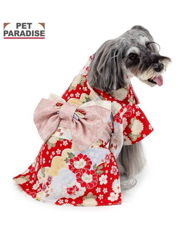 PET PARADISE ペットパラダイス 菊 牡丹 着物 小型犬 レッド