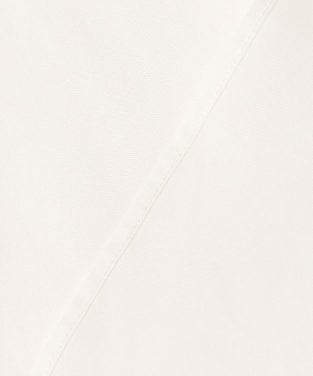 自由区 L 【洗える】ピンタックスリーブ ブラウス アイボリー系