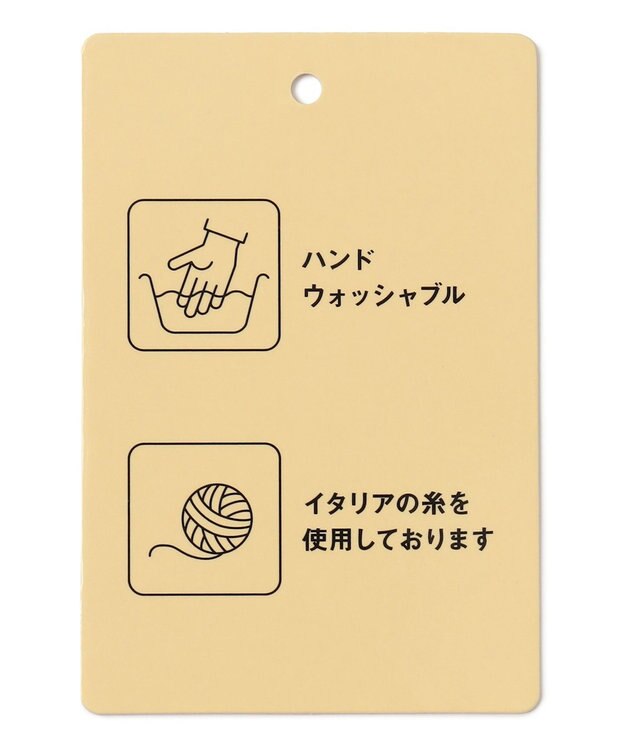 ANY 【手洗い可】イタリーヤーンウールカシミヤミックスプルオーバー ミント