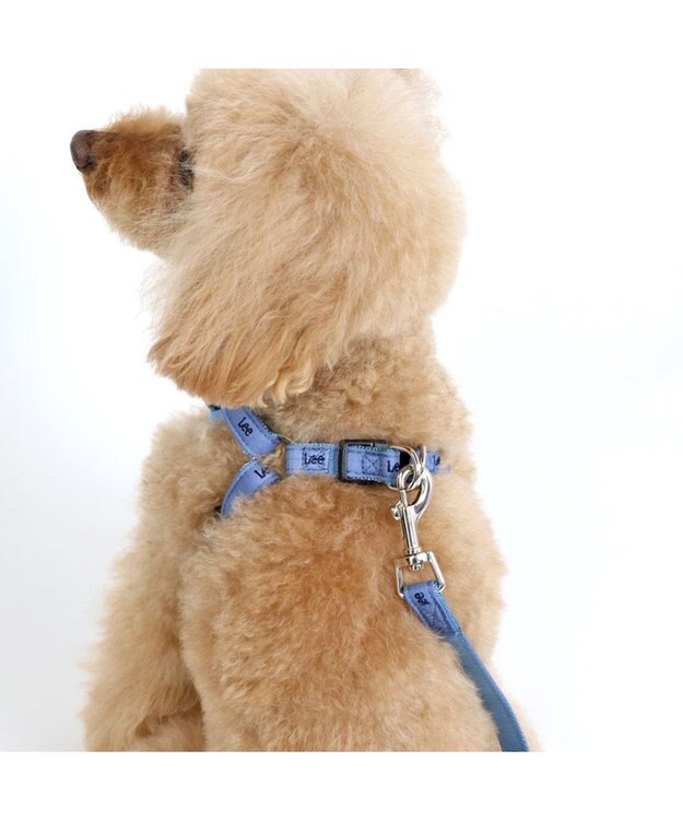 PET PARADISE 犬 ハーネス リード Lee ライトデニムハーネス＆リード 【Ｓ】 水色