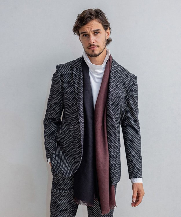 JOSEPH HOMME シルクカシミヤ　ブックストール ワイン系