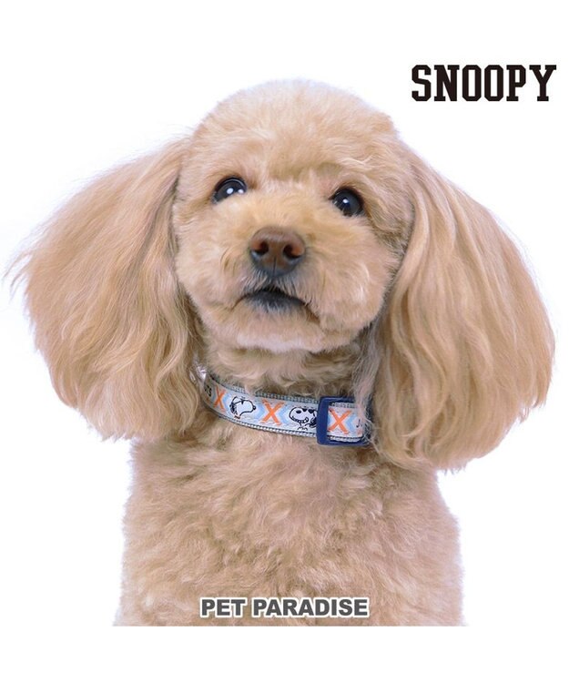 PET PARADISE スヌーピー ジョークール 反射 お揃い 首輪 【ＳＳ】 青