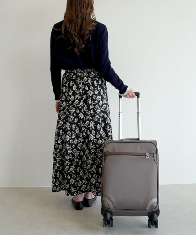 ACE BAGS & LUGGAGE PROGRES アベス トローリー 31L 機内持込 20191 プログレ ブラウン