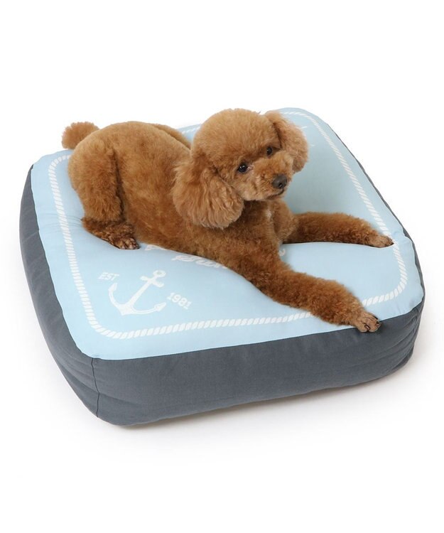 PET PARADISE ペットパラダイス  もちもち クールクッション 青