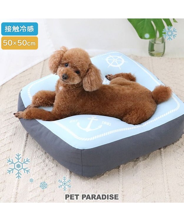 PET PARADISE ペットパラダイス  もちもち クールクッション 青