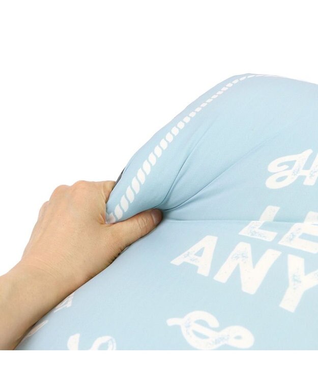 PET PARADISE ペットパラダイス  もちもち クールクッション 青