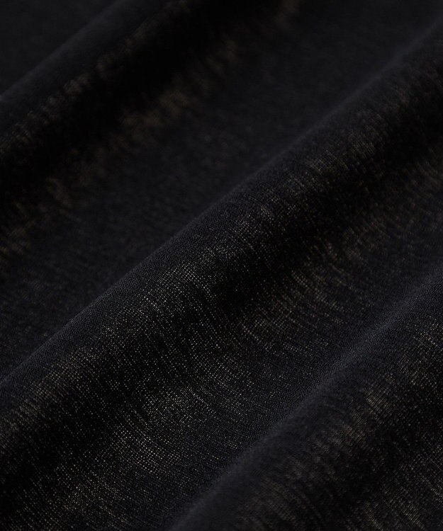 AMERICAN HOLIC シアールーズＴシャツ Black