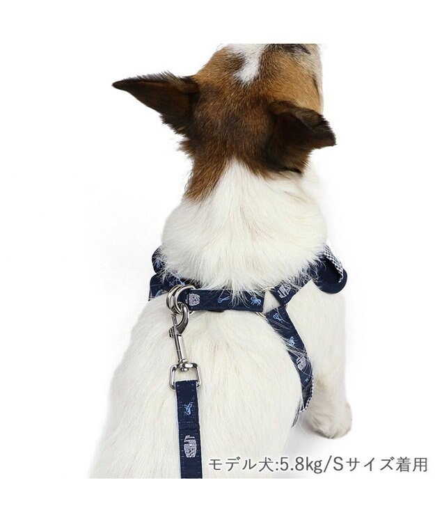 PET PARADISE J.PRESS ギンガムチェック ハーネス&リード   ３Ｓ 小型犬 ネイビー