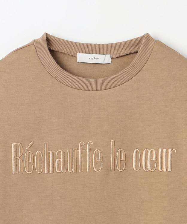 ANY L 【洗濯機可】エンブロイダリーロゴダンボールプルオーバー キャメル