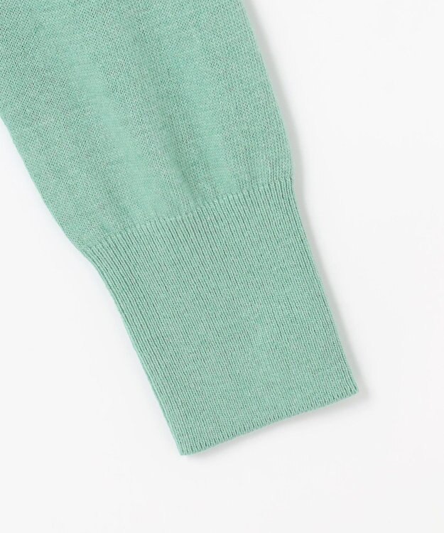 ANY L 【手洗い可】イタリーヤーンウールカシミヤミックスプルオーバー ミント