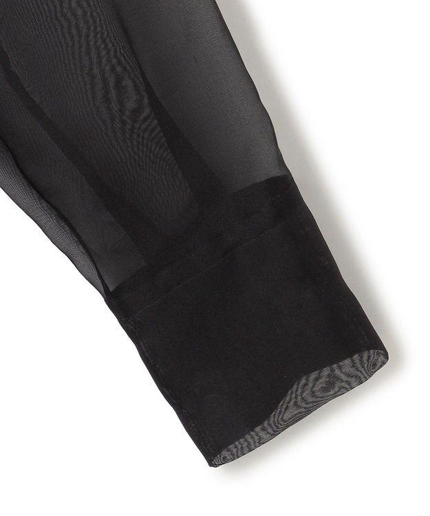 BEIGE， ERICA / シルクシースルークルーネックブラウス Black