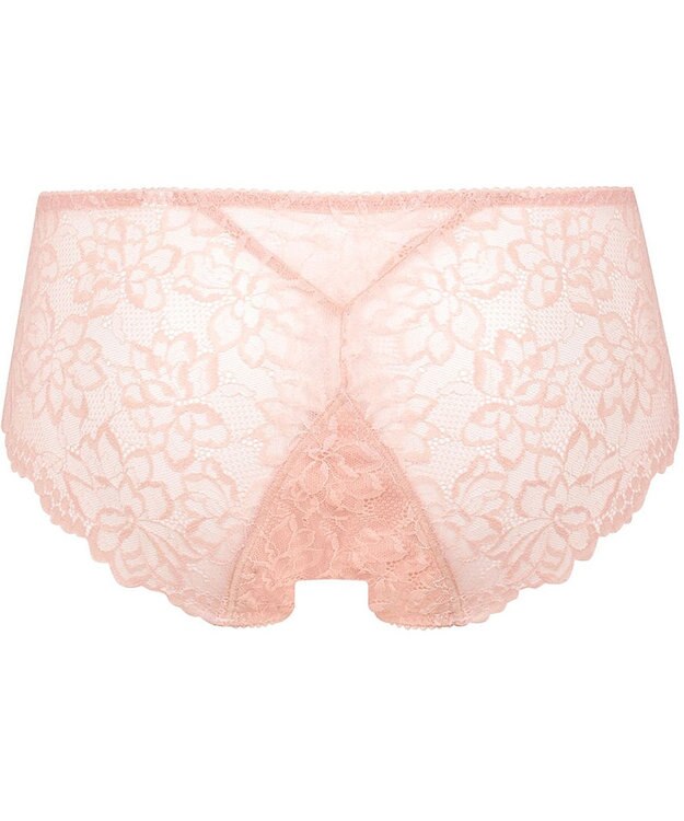 WACOAL サニタリーショーツ 【GOCOCi ゴコチ】 「普通~多い日」に対応 後ろまでしっかりカバー 羽付きナプキン対応 総レース 生理用ショーツ はきこみ丈あさめ レディース PGG198 /ワコール ピーチ