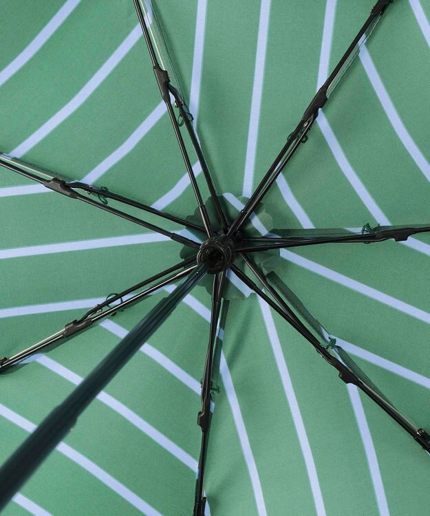 MOONBAT POLO RALPH LAUREN 折りたたみ傘 ボーダーストライプ POLO BEAR ビリジアン