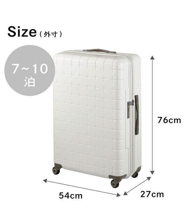 ACE BAGS & LUGGAGE Proteca 360G4 スーツケース 日本製 100L 02424 プロテカ ウォームグレー