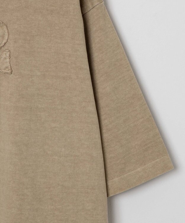 WEGO ピグメントダメージアップリケT（S） ベージュ