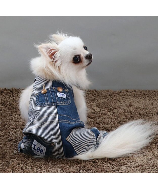 PET PARADISE Ｌｅｅ パッチワーク オーバーオール パンツつなぎ【小型犬】 紺（ネイビー・インディゴ）