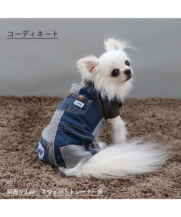 PET PARADISE Ｌｅｅ パッチワーク オーバーオール パンツつなぎ【小型犬】 紺（ネイビー・インディゴ）