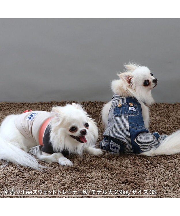 PET PARADISE Ｌｅｅ パッチワーク オーバーオール パンツつなぎ【小型犬】 紺（ネイビー・インディゴ）