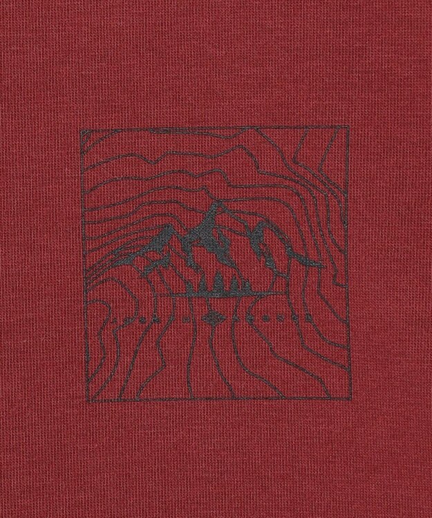 JOSEPH ABBOUD MOUNTAIN 【JAPANファブリック/吸水速乾】プレーティング天竺アウトドア Tシャツ ワイン系